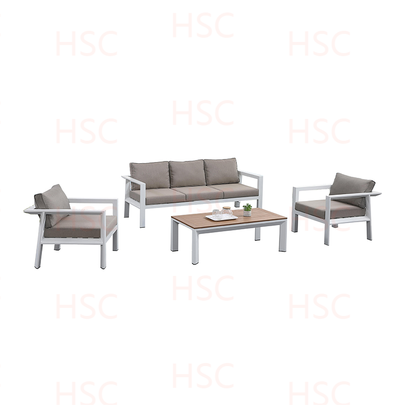 HSCSS24004