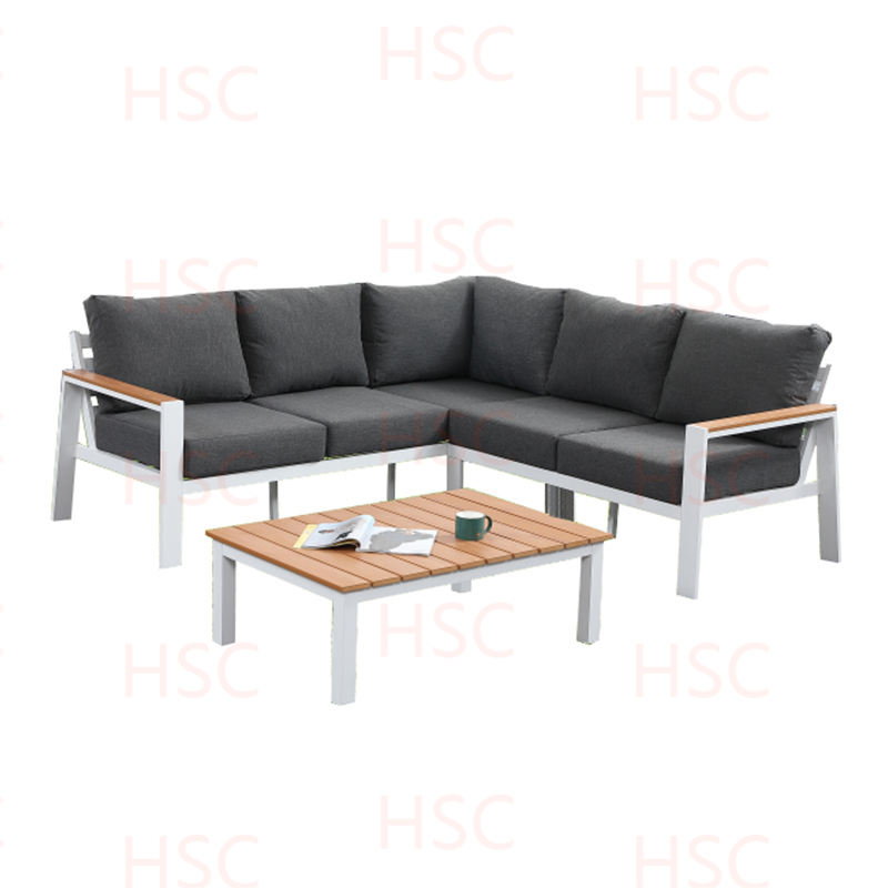 HSCSS24005